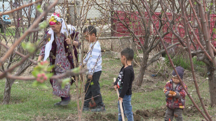 Jointerra tratament articulații - imagine ilustrativă