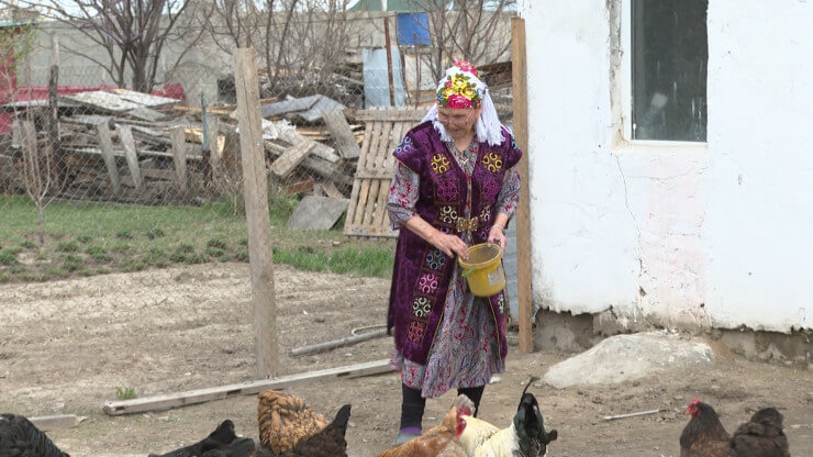 Jointerra tratament articulații - imagine ilustrativă